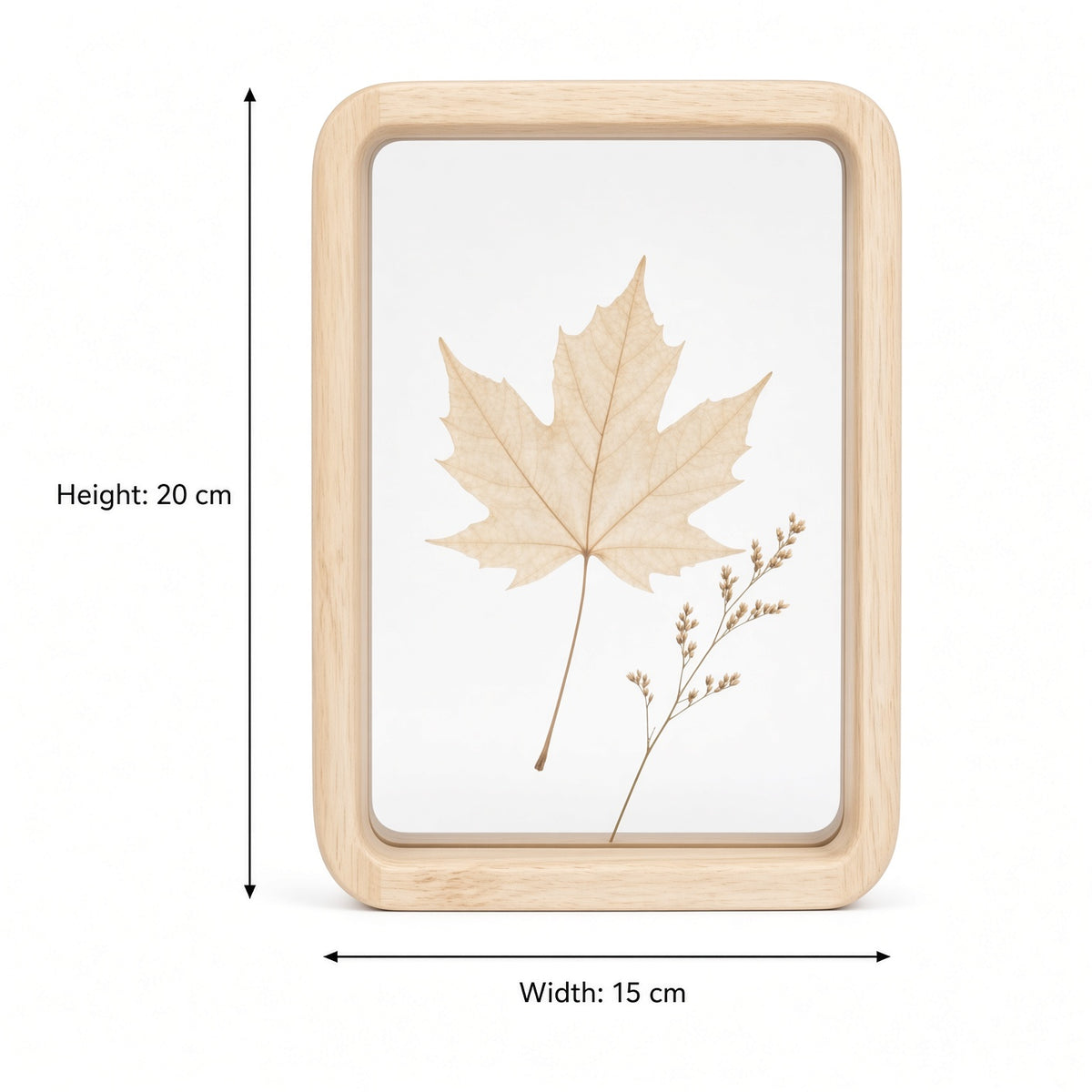 Wooden Floating Frame for Pressed Leaves | Glass Specimen Display Case