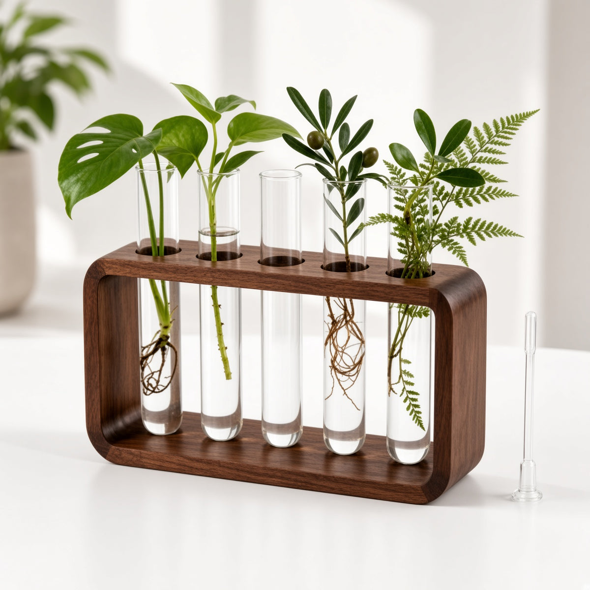 Wooden Test Tube Plant Propagation Station | 5-Tube Hydroponic Vase